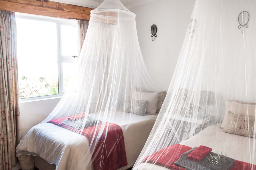 Private room with twin beds and mosquito netting at Hearth and Soul